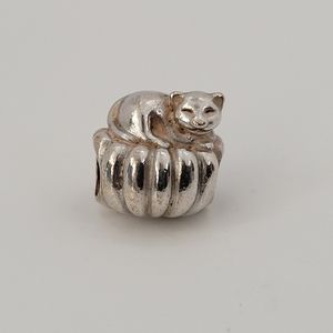 Pandora Cozy Cat Charm